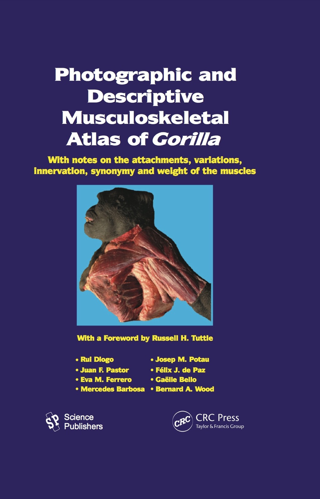 Photographic and Descriptive Musculoskeletal Atlas of Gorilla With Notes on the Attachments, Variations, Innervation, Synonymy and Weight of the Muscles 1st Edition â€“ PDF/EPUB Version Downloadable