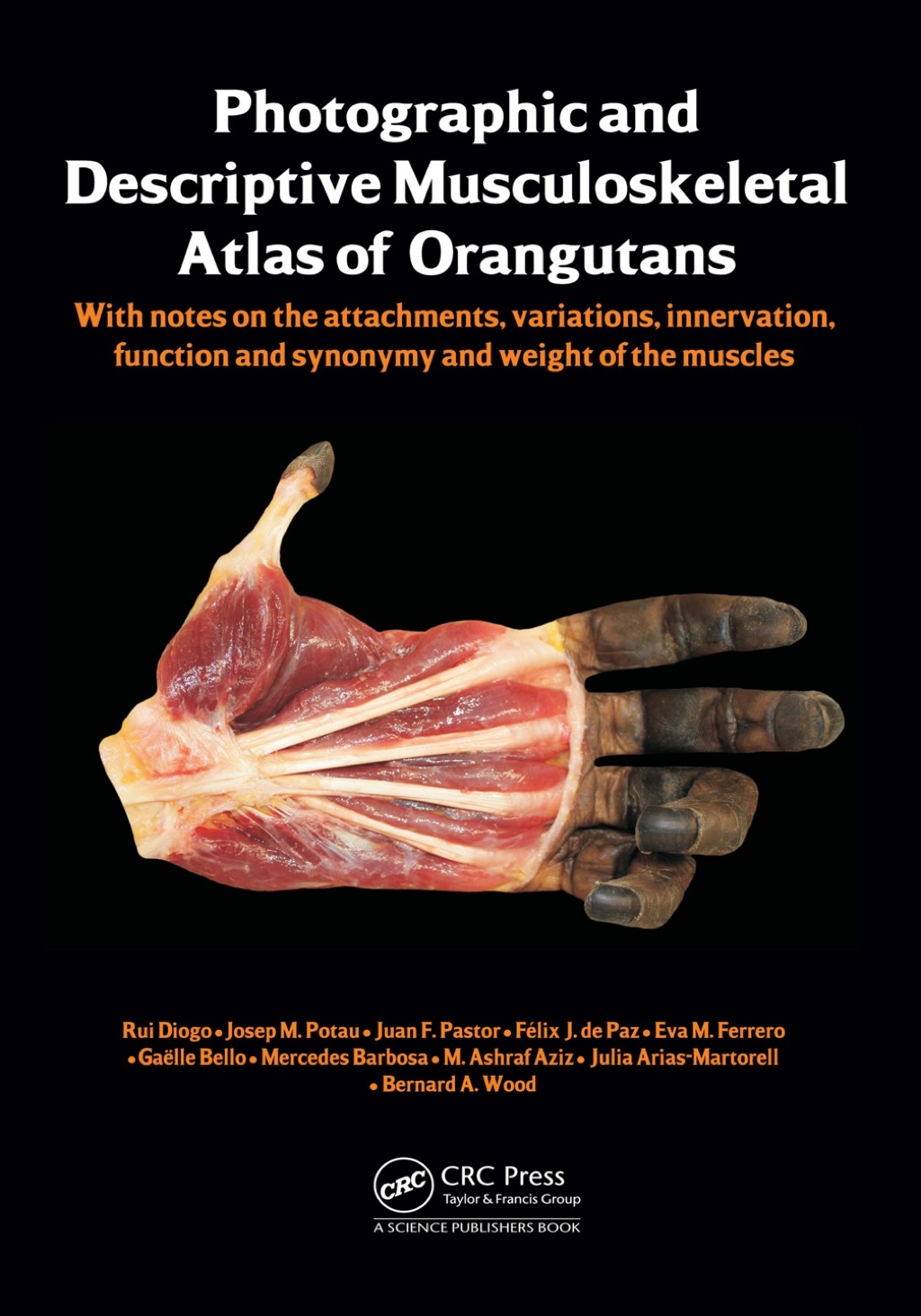 Photographic and Descriptive Musculoskeletal Atlas of Orangutans with notes on the attachments, variations, innervations, function and synonymy and weight of the muscles 1st Edition â€“ PDF/EPUB Version Downloadable