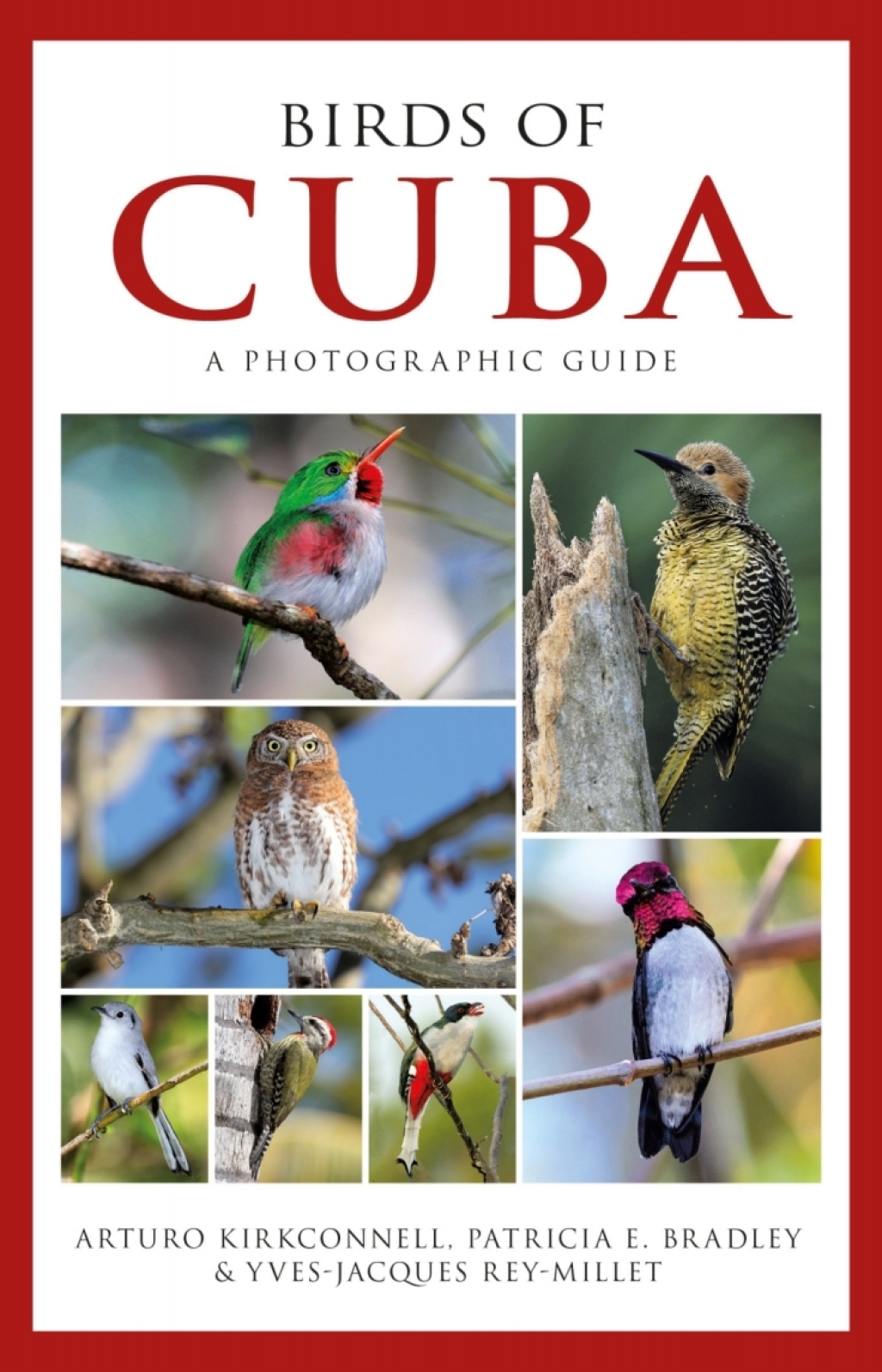 Photographic Guide to the Birds of Cuba 1st Edition â€“ PDF/EPUB Version Downloadable