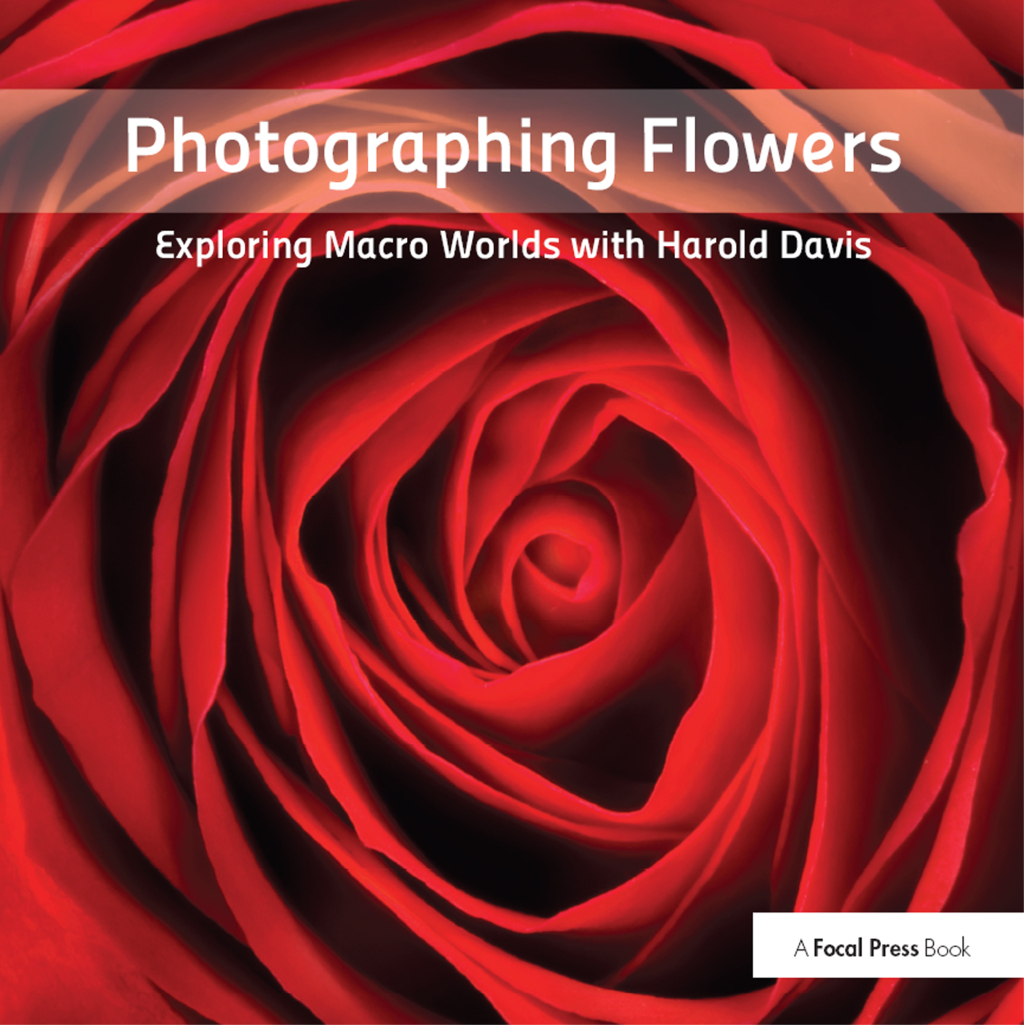 Photographing Flowers Exploring Macro Worlds with Harold Davis 1st Edition â€“ PDF/EPUB Version Downloadable
