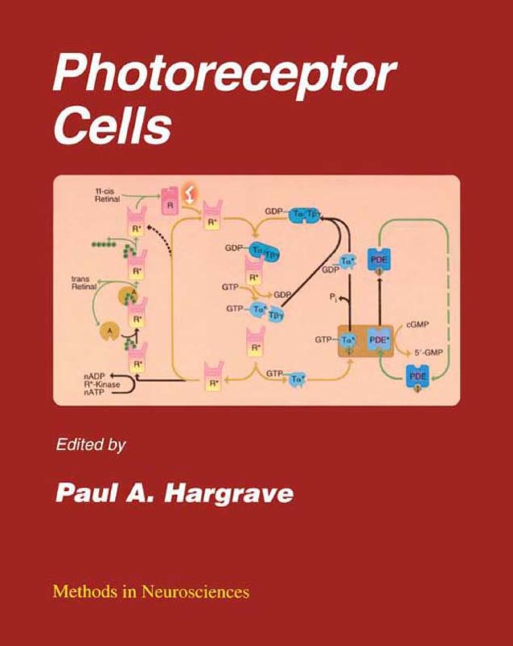 Photoreceptor Cells: Methods in Neurosciences, Vol. 15  â€“ PDF/EPUB Version Downloadable