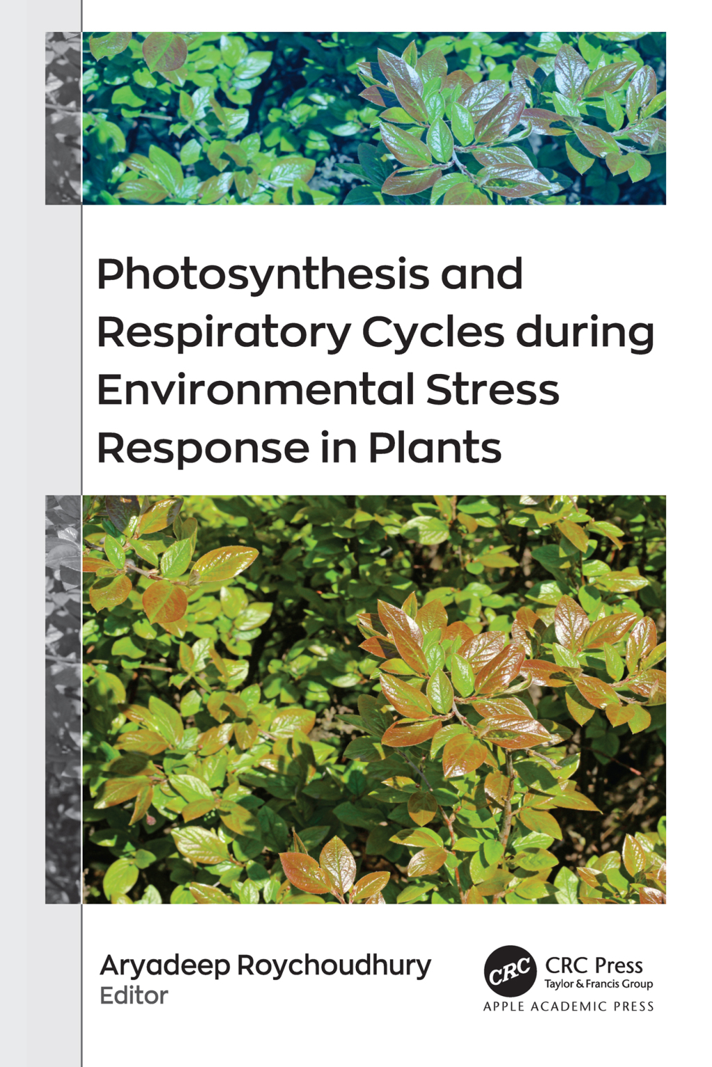 Photosynthesis and Respiratory Cycles during Environmental Stress Response in Plants 1st Edition â€“ PDF/EPUB Version Downloadable