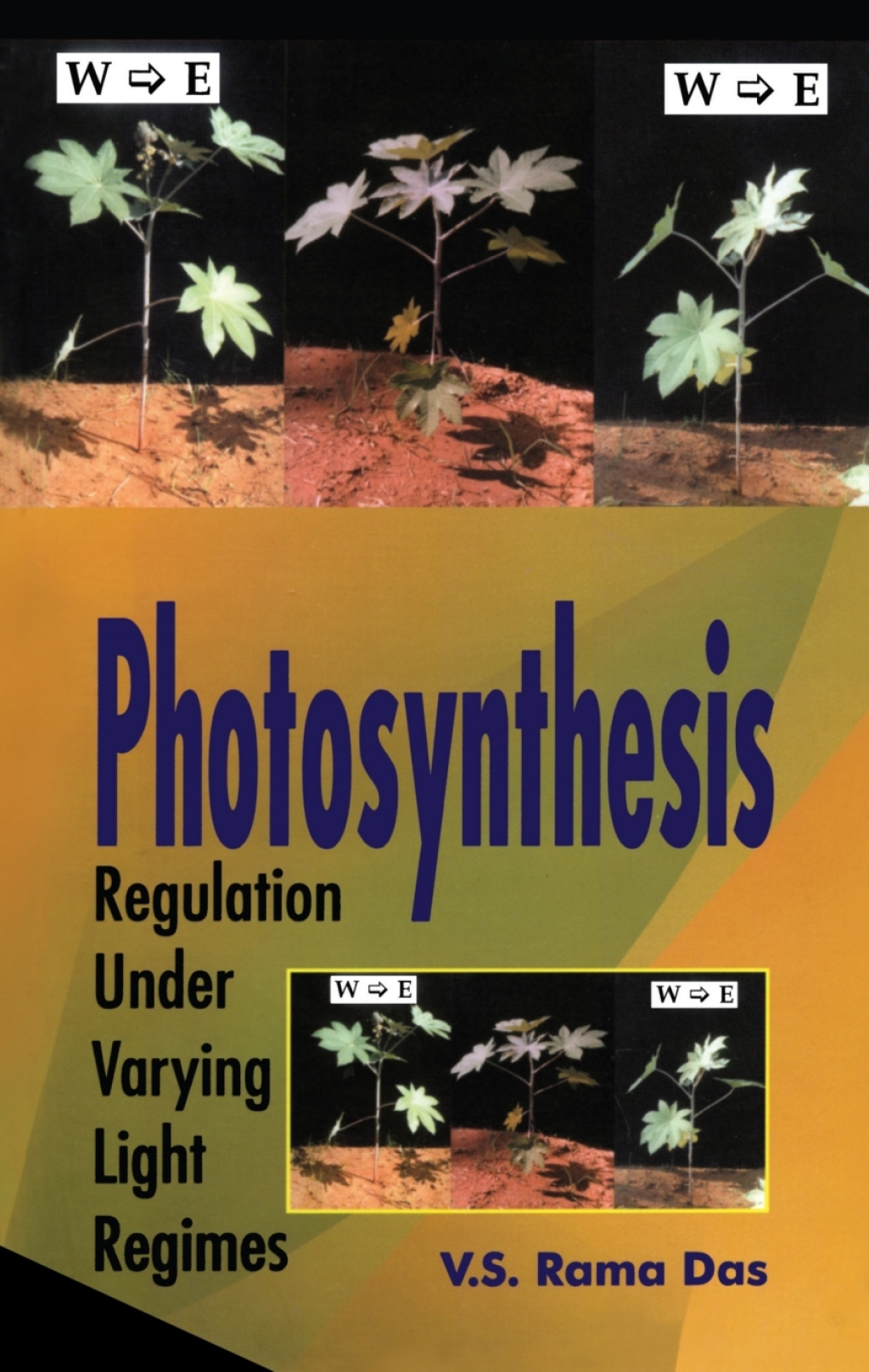 Photosynthesis Regulation Under Varying Light Regimes 1st Edition â€“ PDF/EPUB Version Downloadable