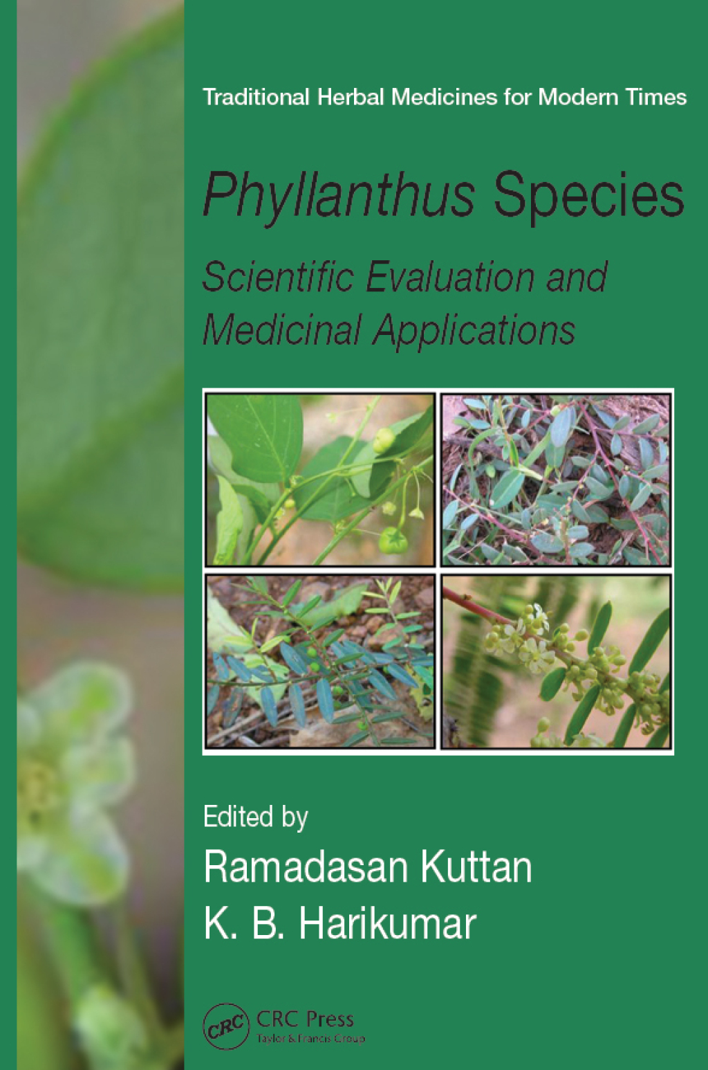 Phyllanthus Species Scientific Evaluation and Medicinal Applications 1st Edition â€“ PDF/EPUB Version Downloadable