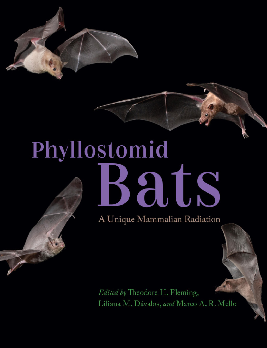 Phyllostomid Bats A Unique Mammalian Radiation 1st Edition â€“ PDF/EPUB Version Downloadable
