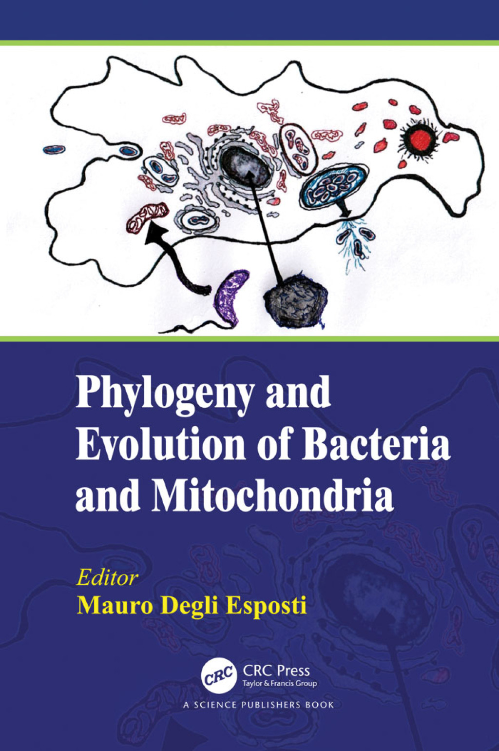 Phylogeny and Evolution of Bacteria and Mitochondria 1st Edition â€“ PDF/EPUB Version Downloadable