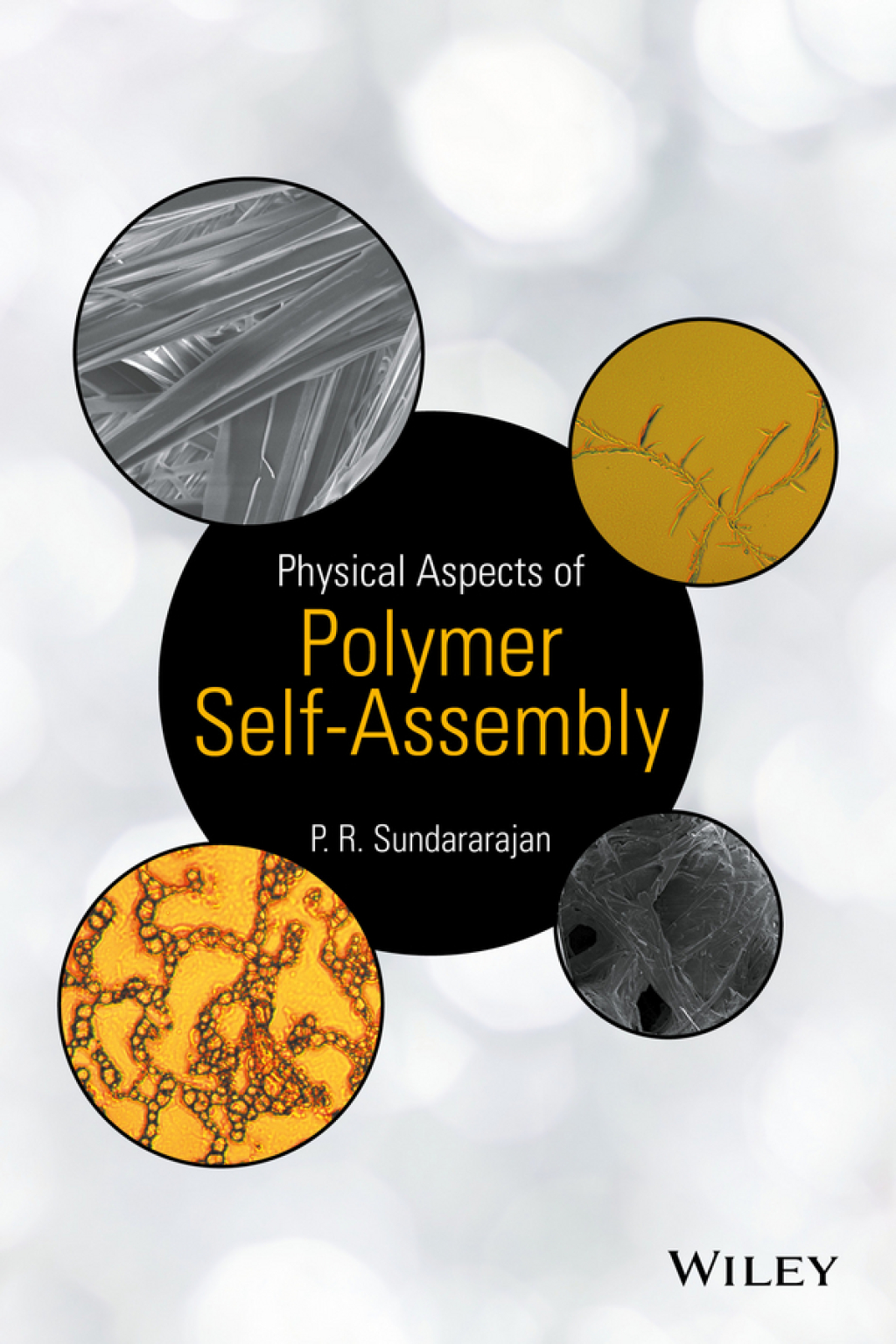 Physical Aspects of Polymer Self-Assembly 1st Edition â€“ PDF/EPUB Version Downloadable