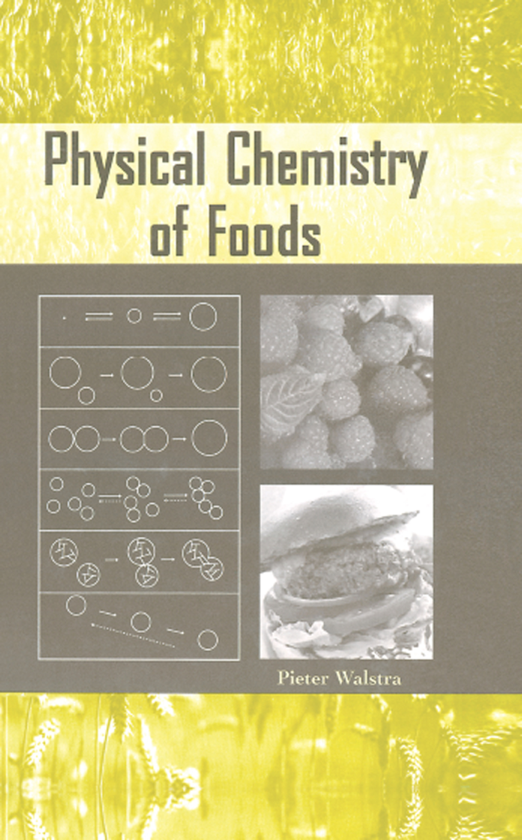 Physical Chemistry of Foods 1st Edition â€“ PDF/EPUB Version Downloadable