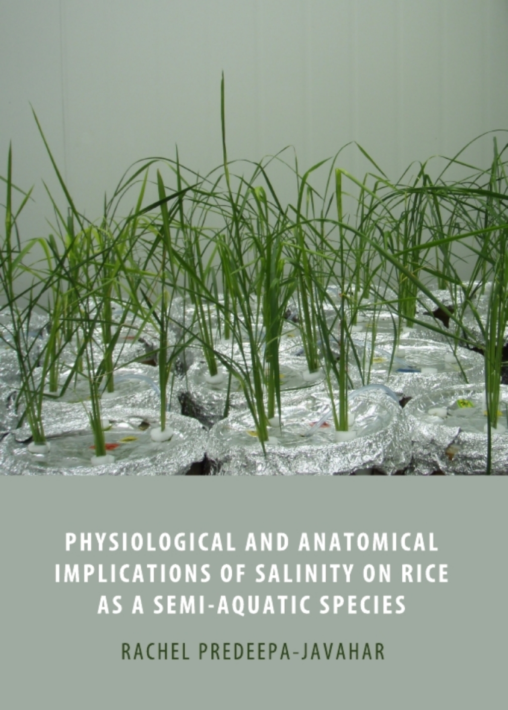 Physiological and Anatomical Implications of Salinity on Rice as a Semi-Aquatic Species 1st Edition â€“ PDF/EPUB Version Downloadable