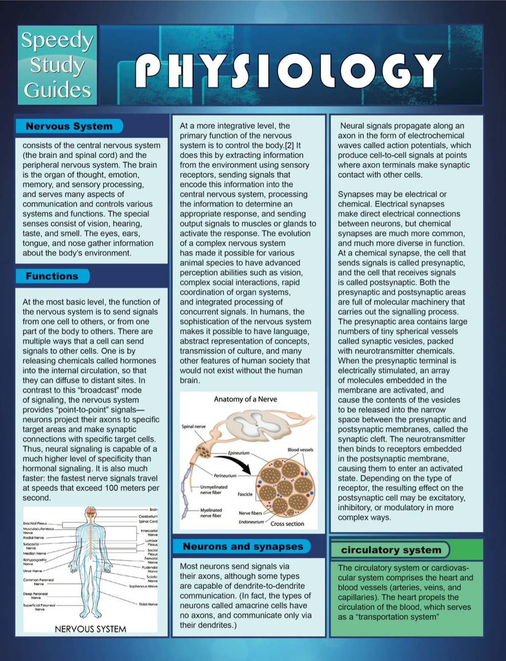 Physiology (Speedy Study Guide) - (PDF/EPUB Version)