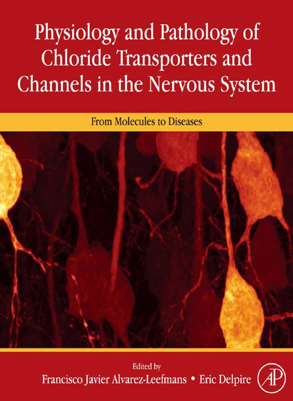 Physiology and Pathology of chloride transporters and channels in the nervous system: From molecules to diseases  â€“ PDF/EPUB Version Downloadable