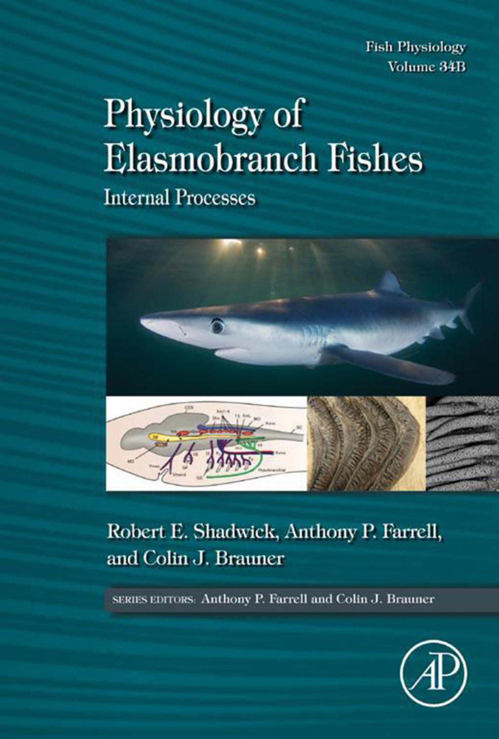 Physiology of Elasmobranch Fishes: Internal Processes: Fish Physiology  â€“ PDF/EPUB Version Downloadable