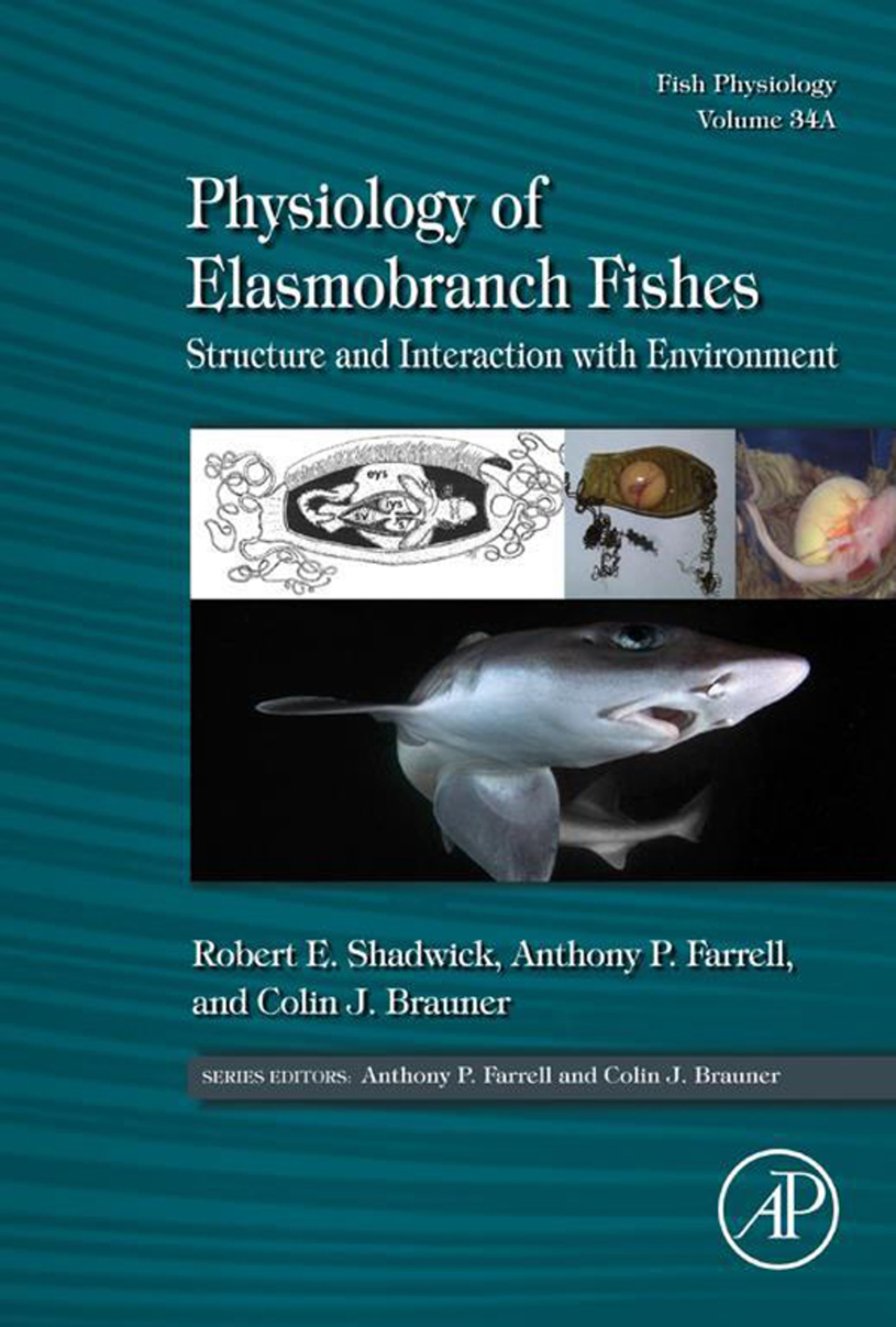 Physiology of Elasmobranch Fishes: Structure and Interaction with Environment: Fish Physiology  â€“ PDF/EPUB Version Downloadable