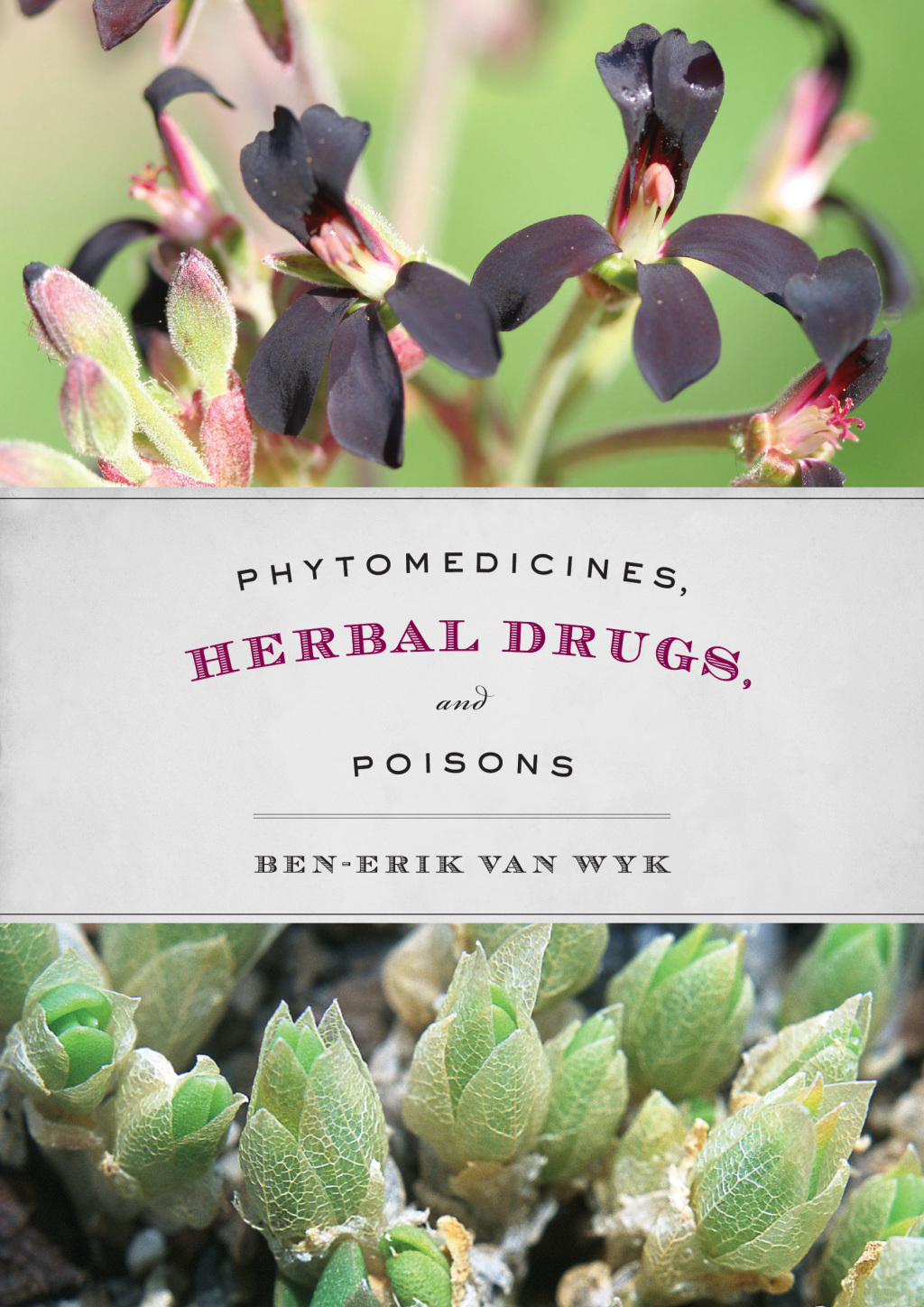Phytomedicines, Herbal Drugs, and Poisons 1st Edition â€“ PDF/EPUB Version Downloadable