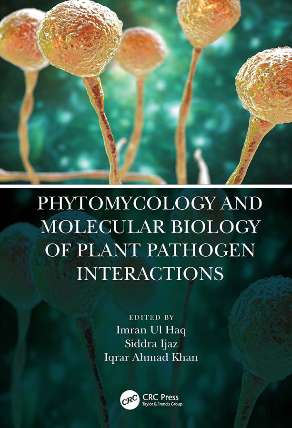Phytomycology and Molecular Biology of Plant Pathogen Interactions 1st Edition â€“ PDF/EPUB Version Downloadable