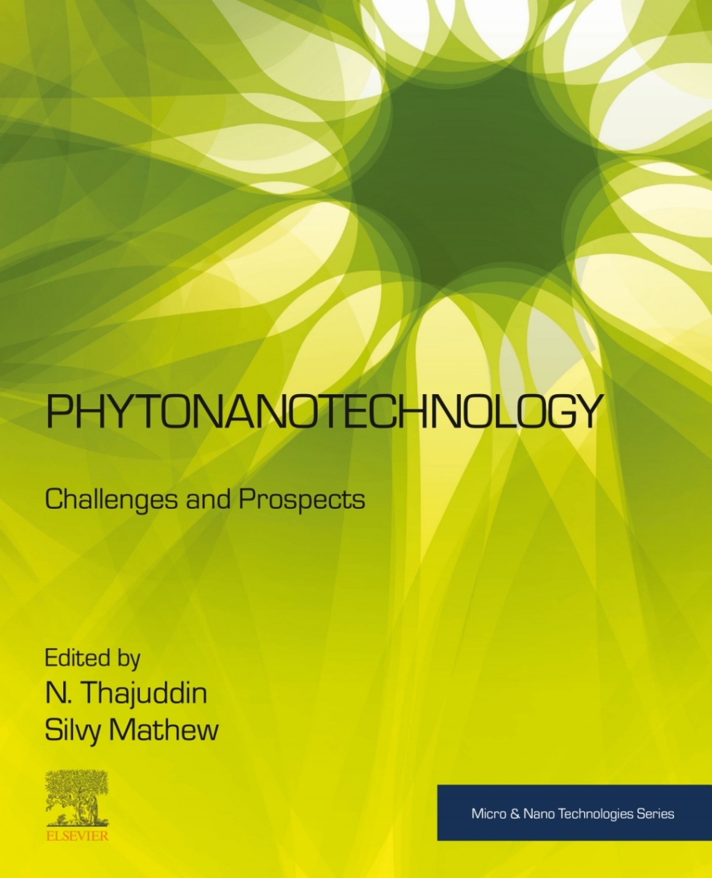 Phytonanotechnology Challenges and Prospects 1st Edition â€“ PDF/EPUB Version Downloadable
