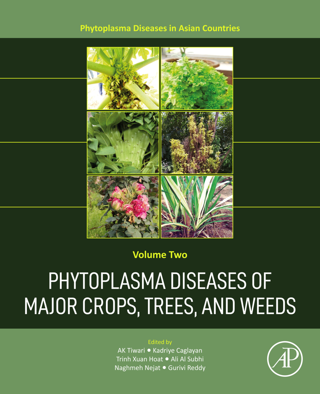 Phytoplasma Diseases of Major Crops, Trees, and Weeds 1st Edition â€“ PDF/EPUB Version Downloadable