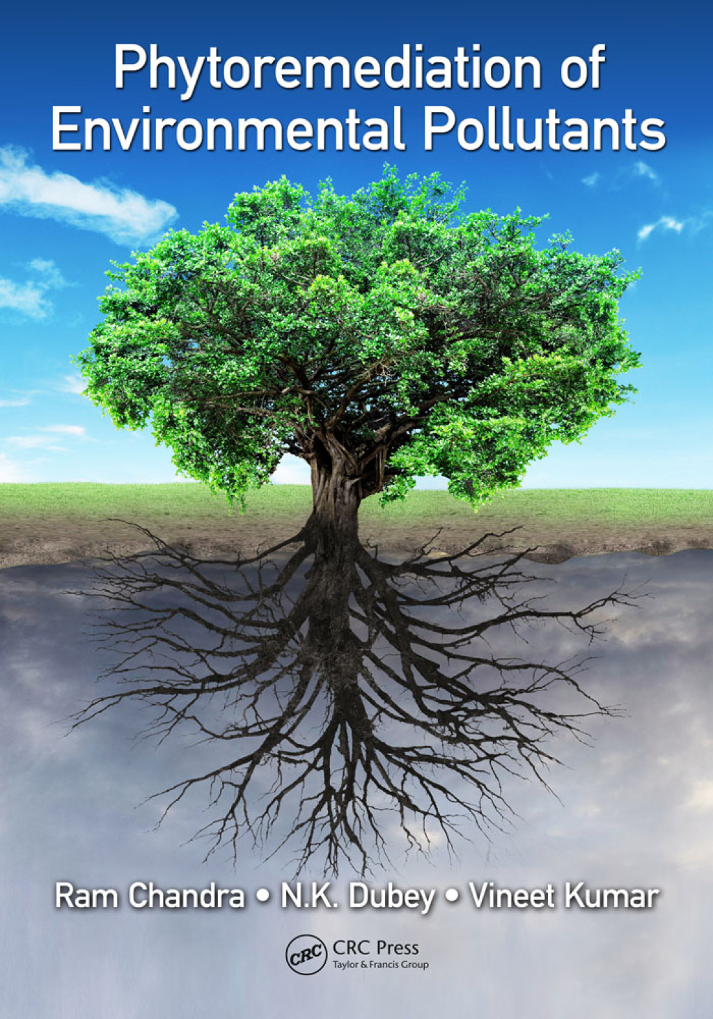 Phytoremediation of Environmental Pollutants 1st Edition â€“ PDF/EPUB Version Downloadable