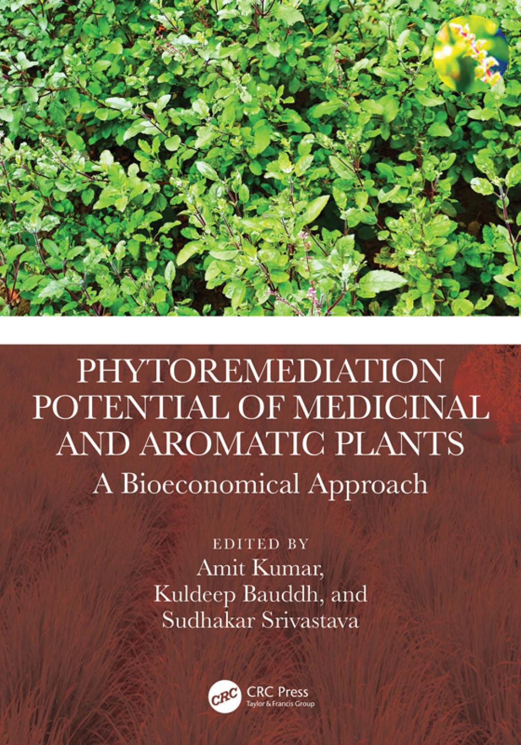 Phytoremediation Potential of Medicinal and Aromatic Plants A Bioeconomical Approach 1st Edition â€“ PDF/EPUB Version Downloadable