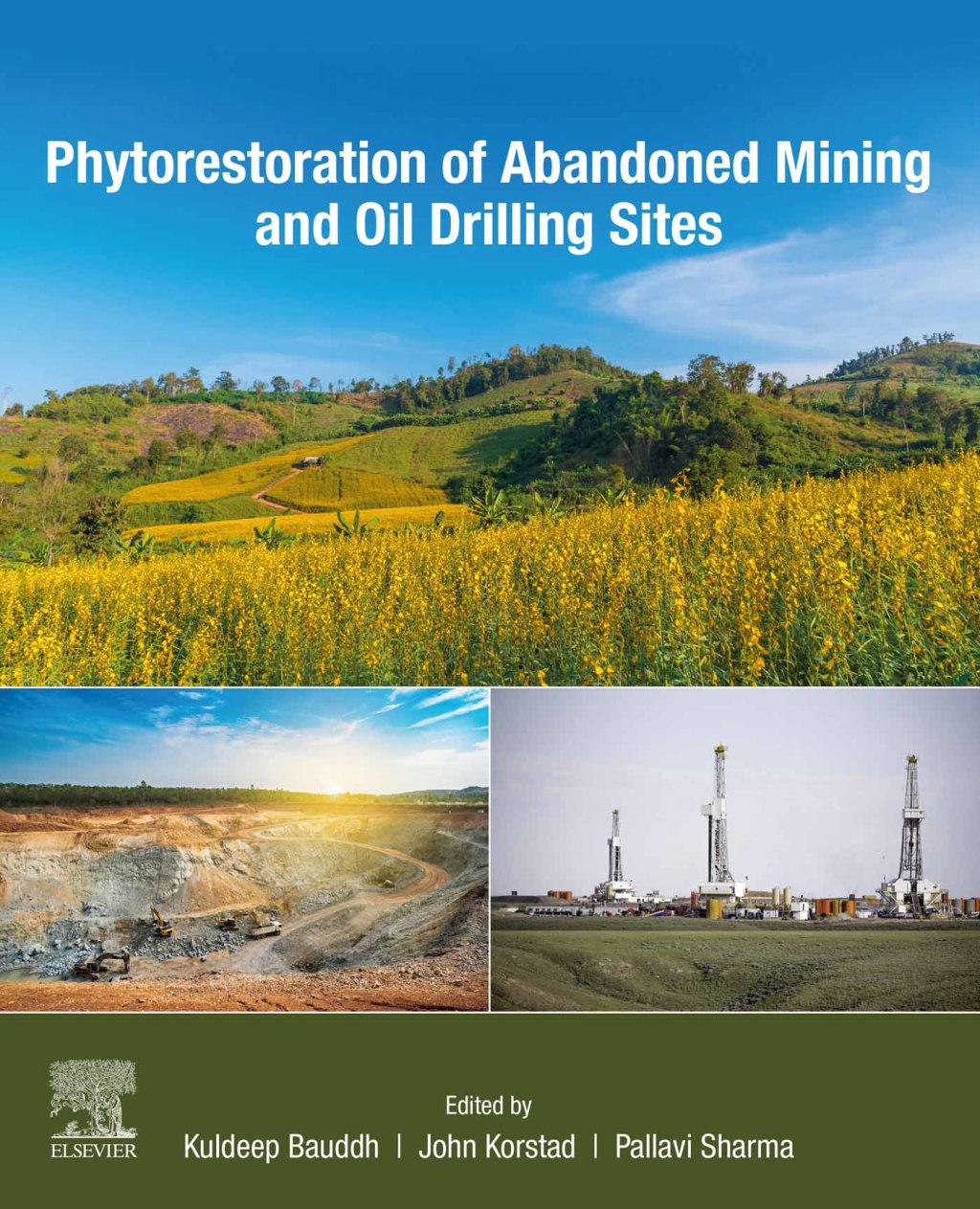 Phytorestoration of Abandoned Mining and Oil Drilling Sites 1st Edition â€“ PDF/EPUB Version Downloadable
