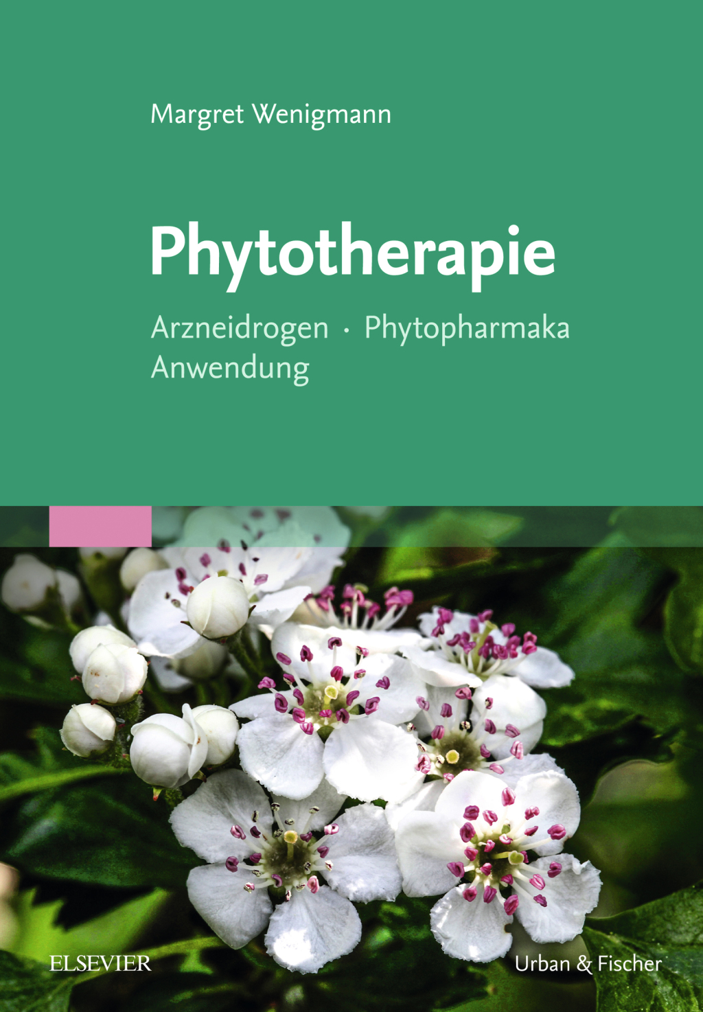 Phytotherapie Arzneidrogen Phytopharmka Anwendung  â€“ PDF/EPUB Version Downloadable