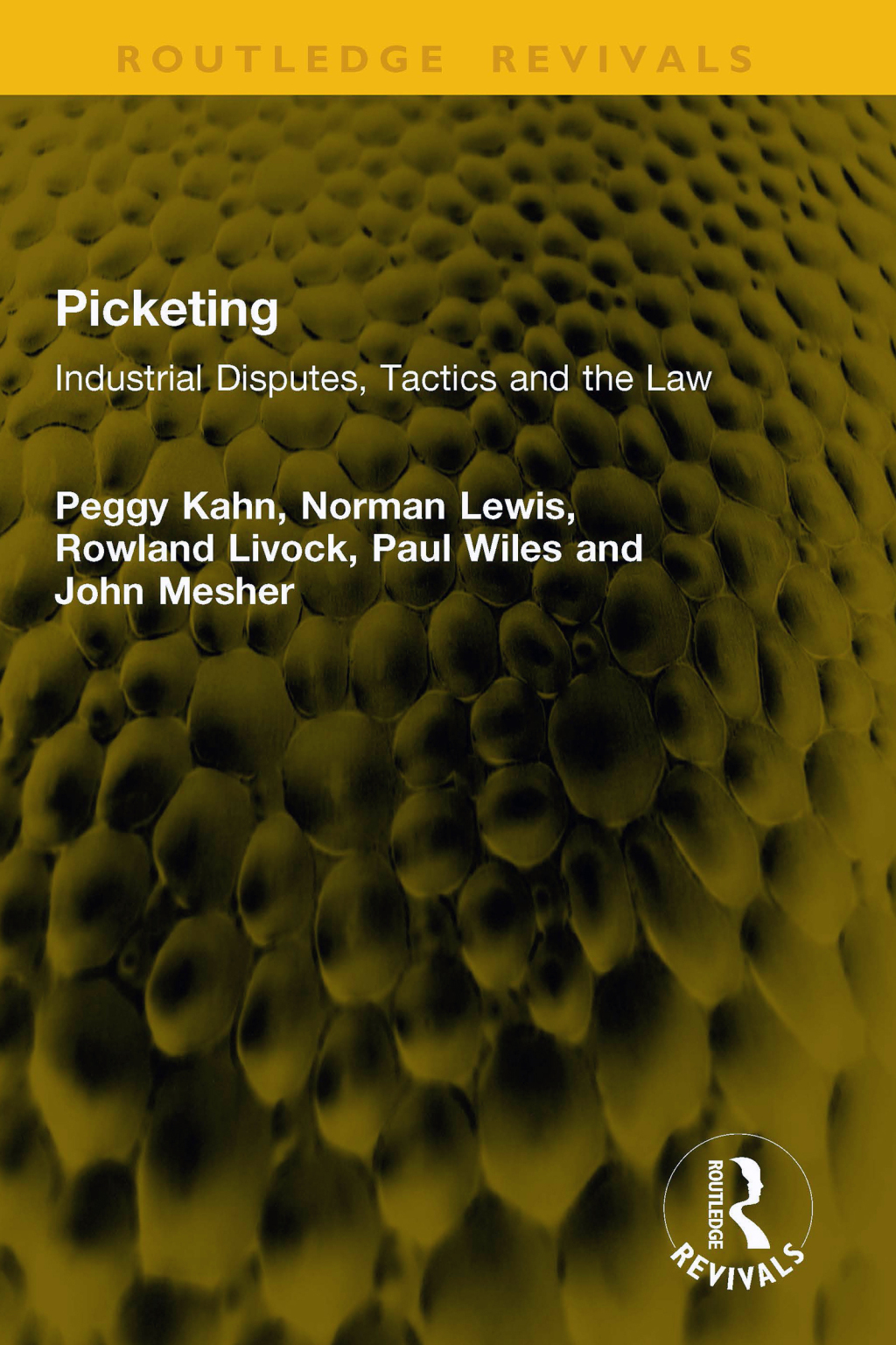 Picketing Industrial Disputes, Tactics and the Law 1st Edition â€“ PDF/EPUB Version Downloadable