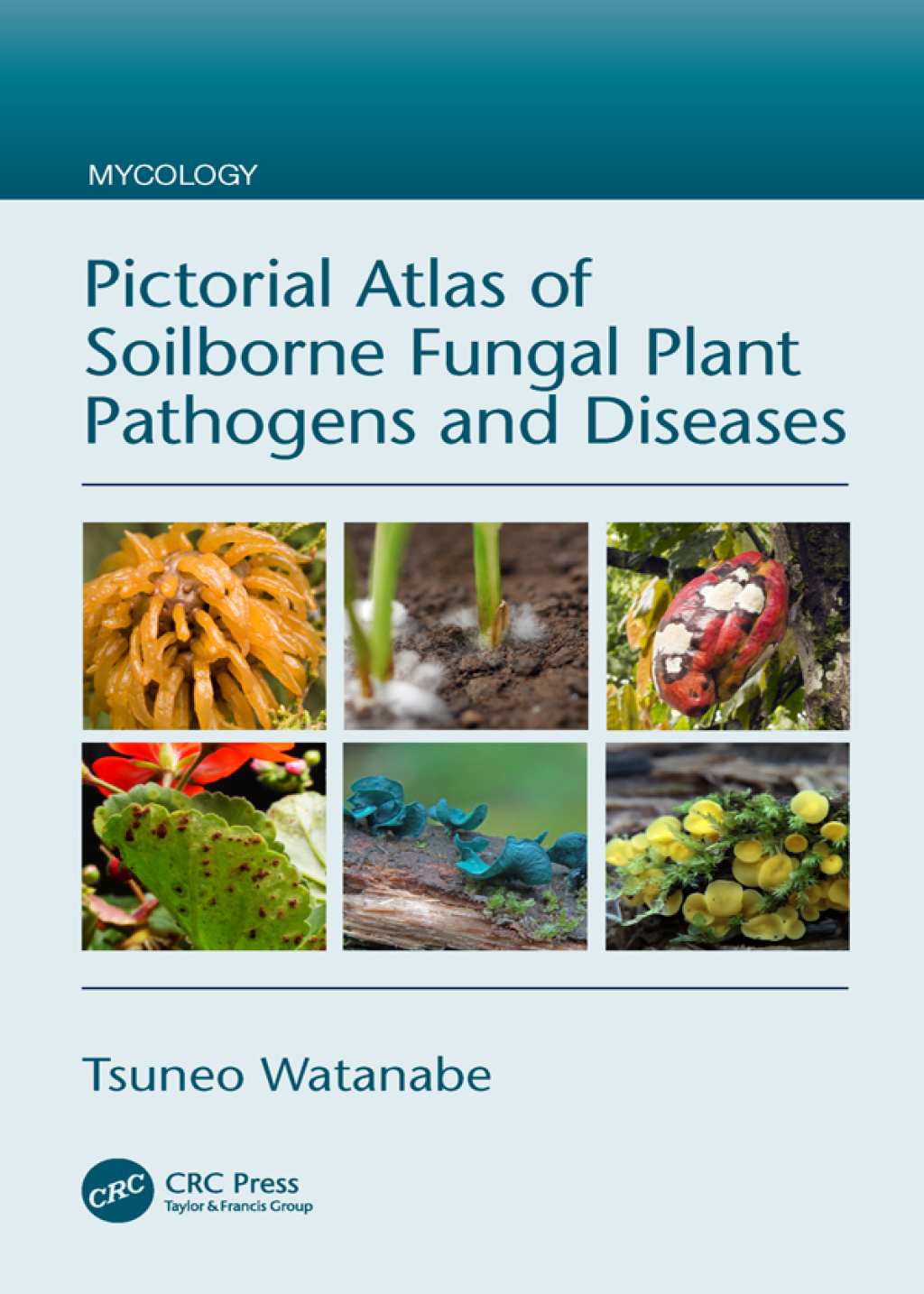 Pictorial Atlas of Soilborne Fungal Plant Pathogens and Diseases 1st Edition â€“ PDF/EPUB Version Downloadable