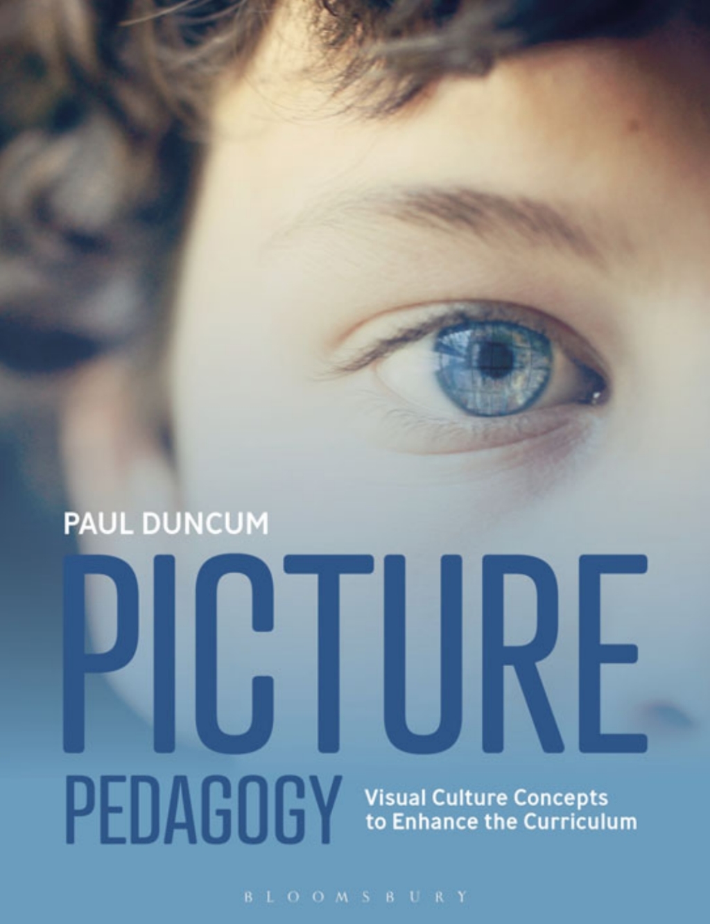 Picture Pedagogy Visual Culture Concepts to Enhance the Curriculum 1st Edition - (PDF/EPUB Version)