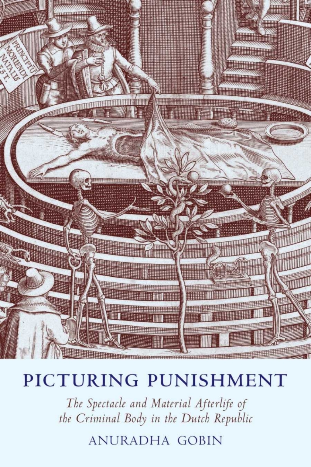 Picturing Punishment The Spectacle and Material Afterlife of the Criminal Body in the Dutch Republic 1st Edition â€“ PDF/EPUB Version Downloadable