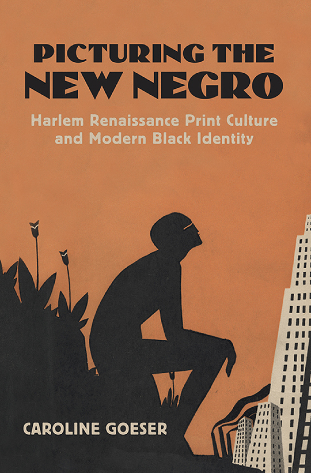 Picturing the New Negro Harlem Renaissance Print Culture and Modern Black Identity  â€“ PDF/EPUB Version Downloadable