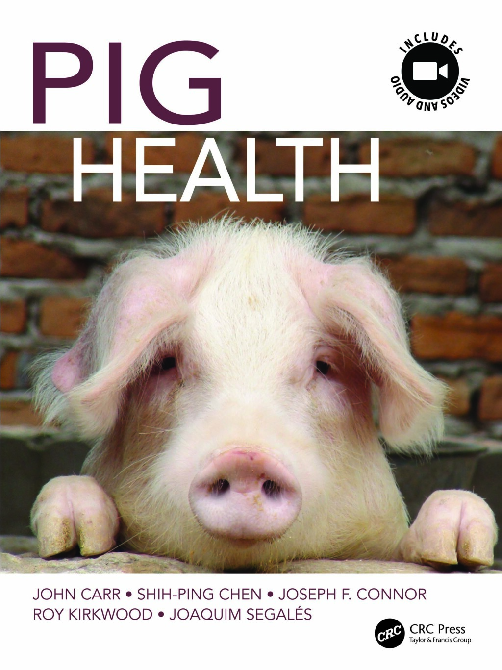Pig Health 1st Edition â€“ PDF/EPUB Version Downloadable