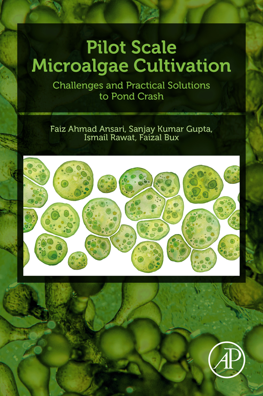 Pilot Scale Microalgae Cultivation Challenges and Practical Solutions to Pond Crash 1st Edition â€“ PDF/EPUB Version Downloadable