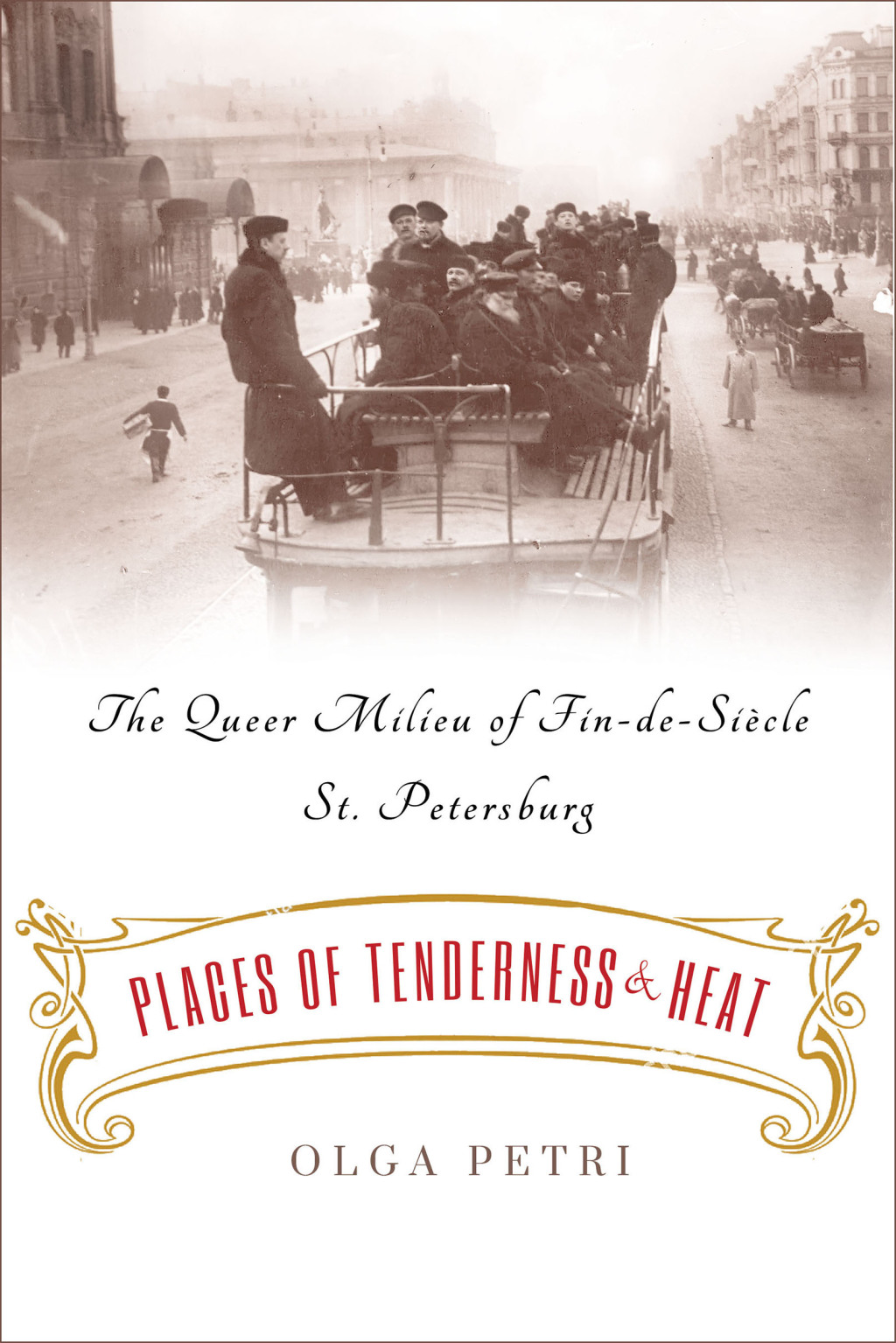 Places of Tenderness and Heat The Queer Milieu of Fin-de-SiÃ¨cle St. Petersburg  â€“ PDF/EPUB Version Downloadable