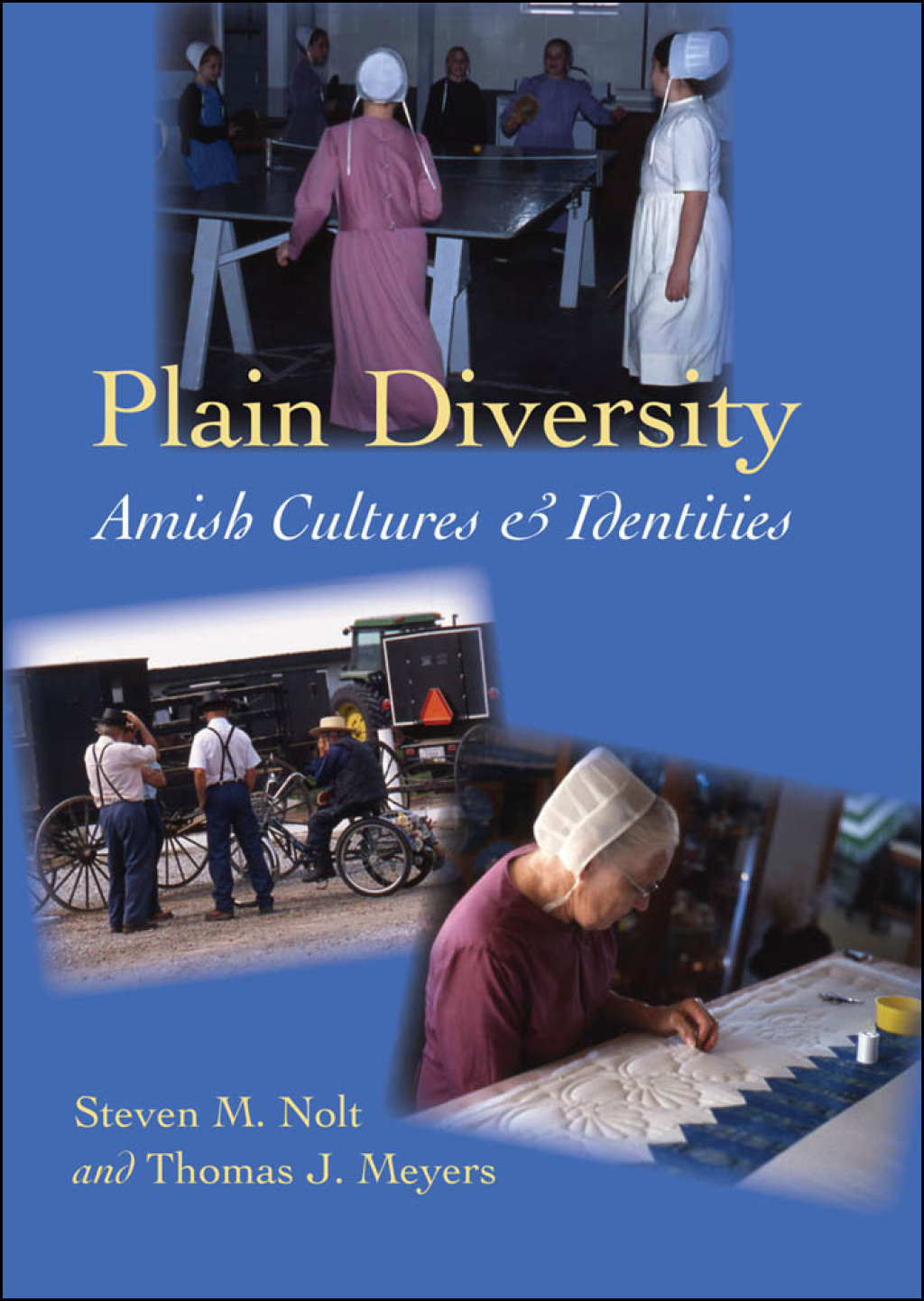 Plain Diversity Amish Cultures and Identities  â€“ PDF/EPUB Version Downloadable