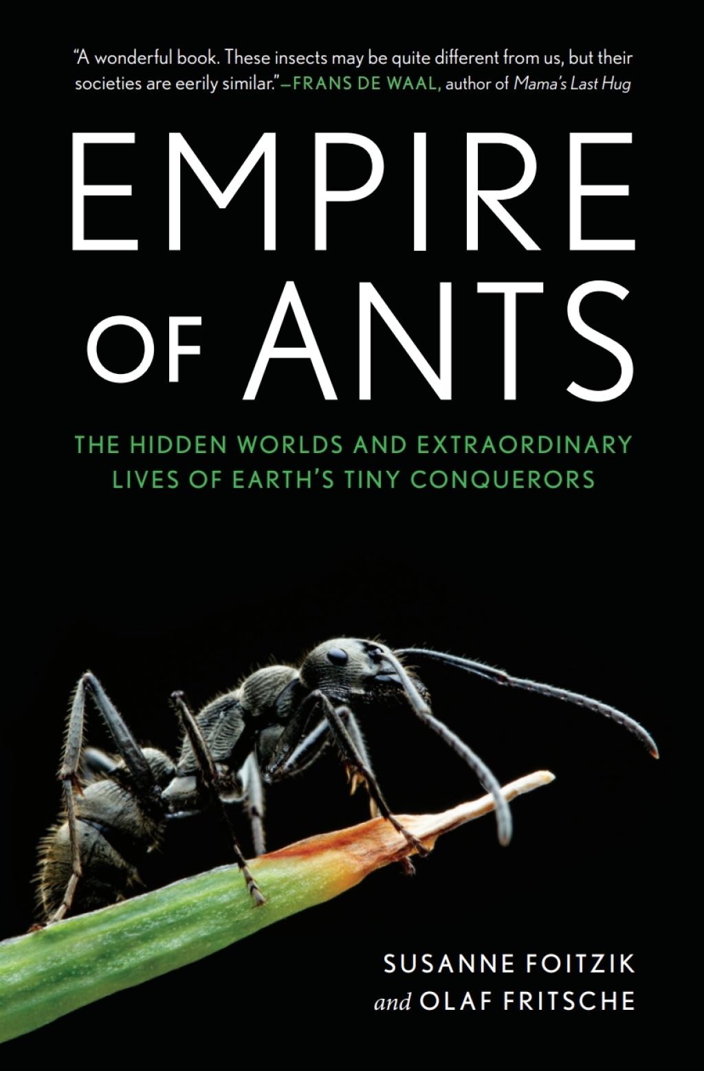 Planet of the Ants: The Hidden Worlds and Extraordinary Lives of Earth's Tiny Conquerors The Hidden Worlds and Extraordinary Lives of Earth's Tiny Conquerors - (PDF/EPUB Version)