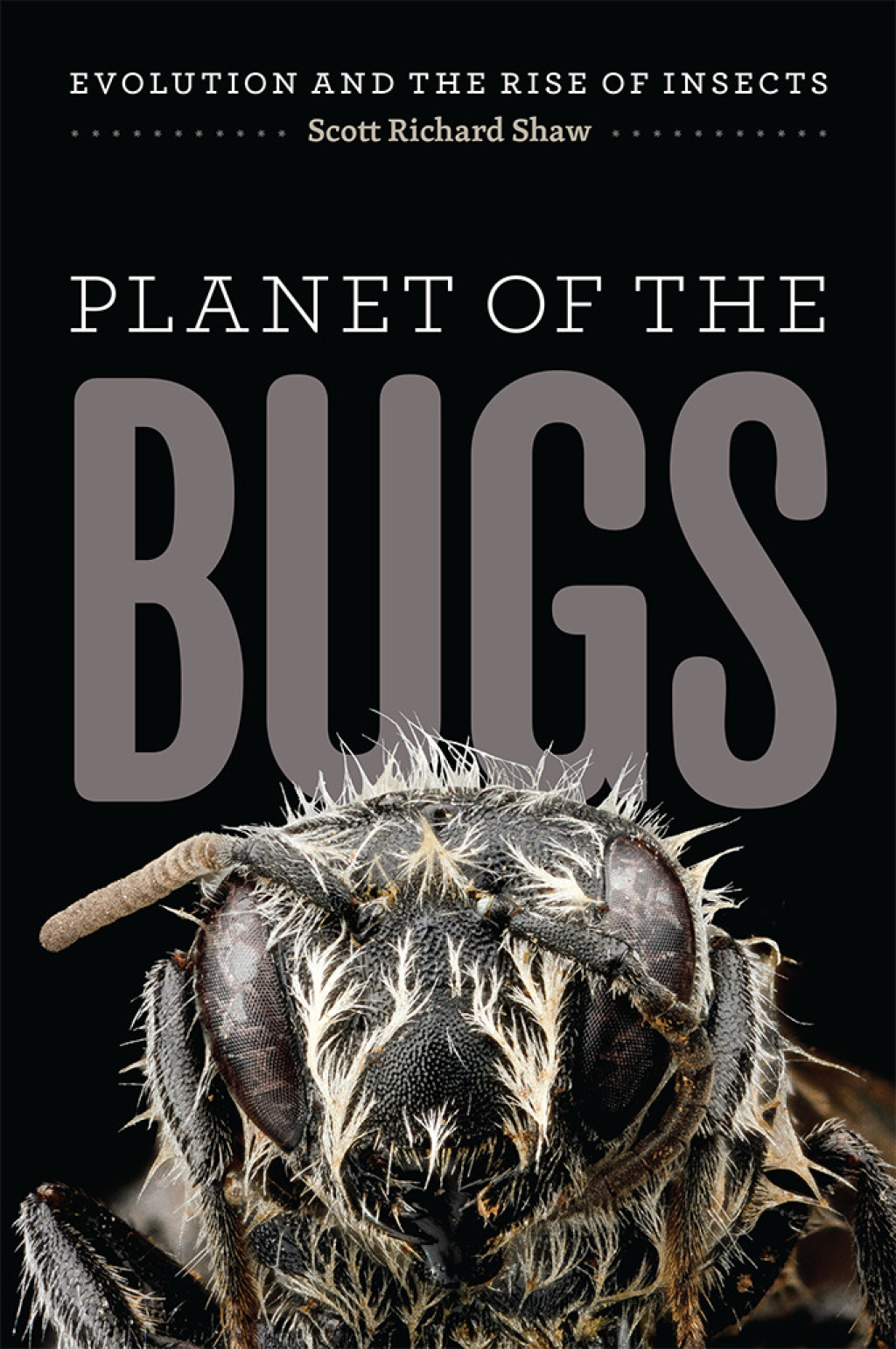 Planet of the Bugs Evolution and the Rise of Insects 1st Edition - (PDF/EPUB Version)