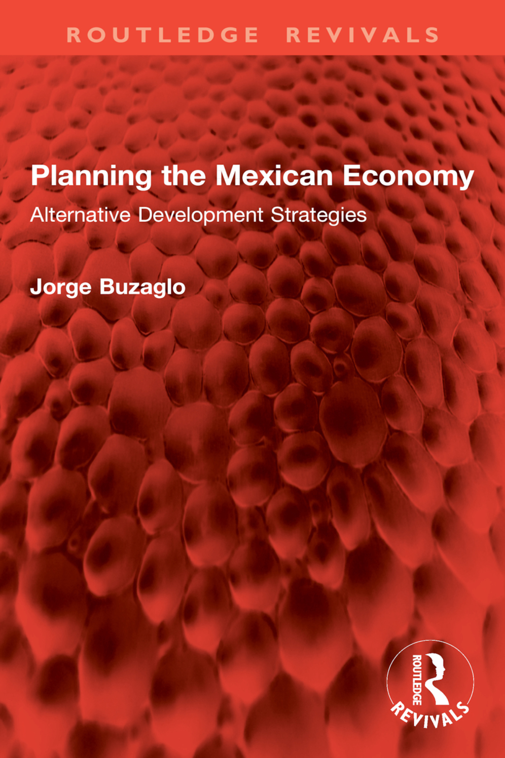 Planning the Mexican Economy Alternative Development Strategies 1st Edition â€“ PDF/EPUB Version Downloadable