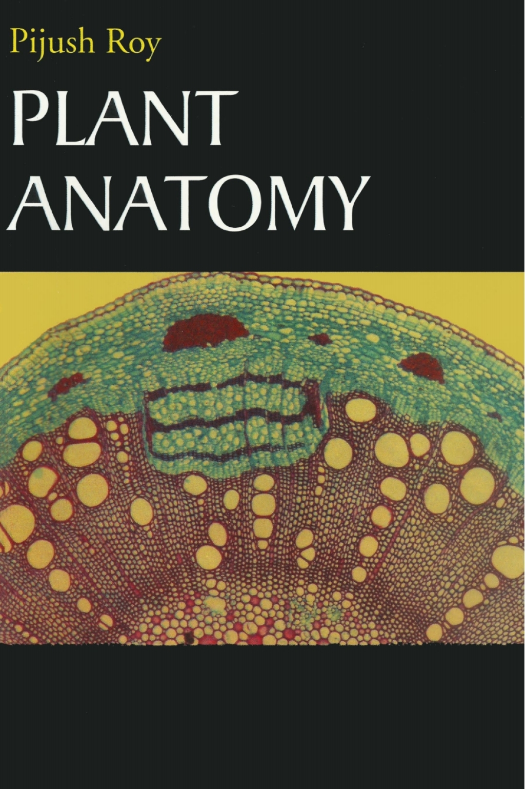 Plant Anatomy  â€“ PDF/EPUB Version Downloadable