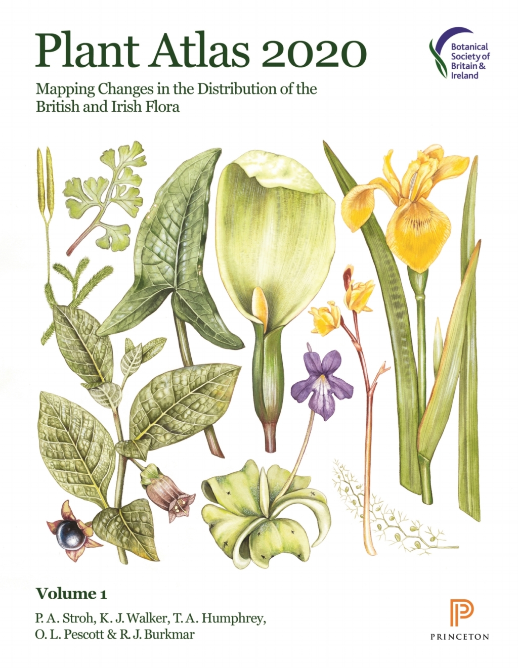 Plant Atlas 2020 Mapping Changes in the Distribution of the British and Irish Flora  â€“ PDF/EPUB Version Downloadable