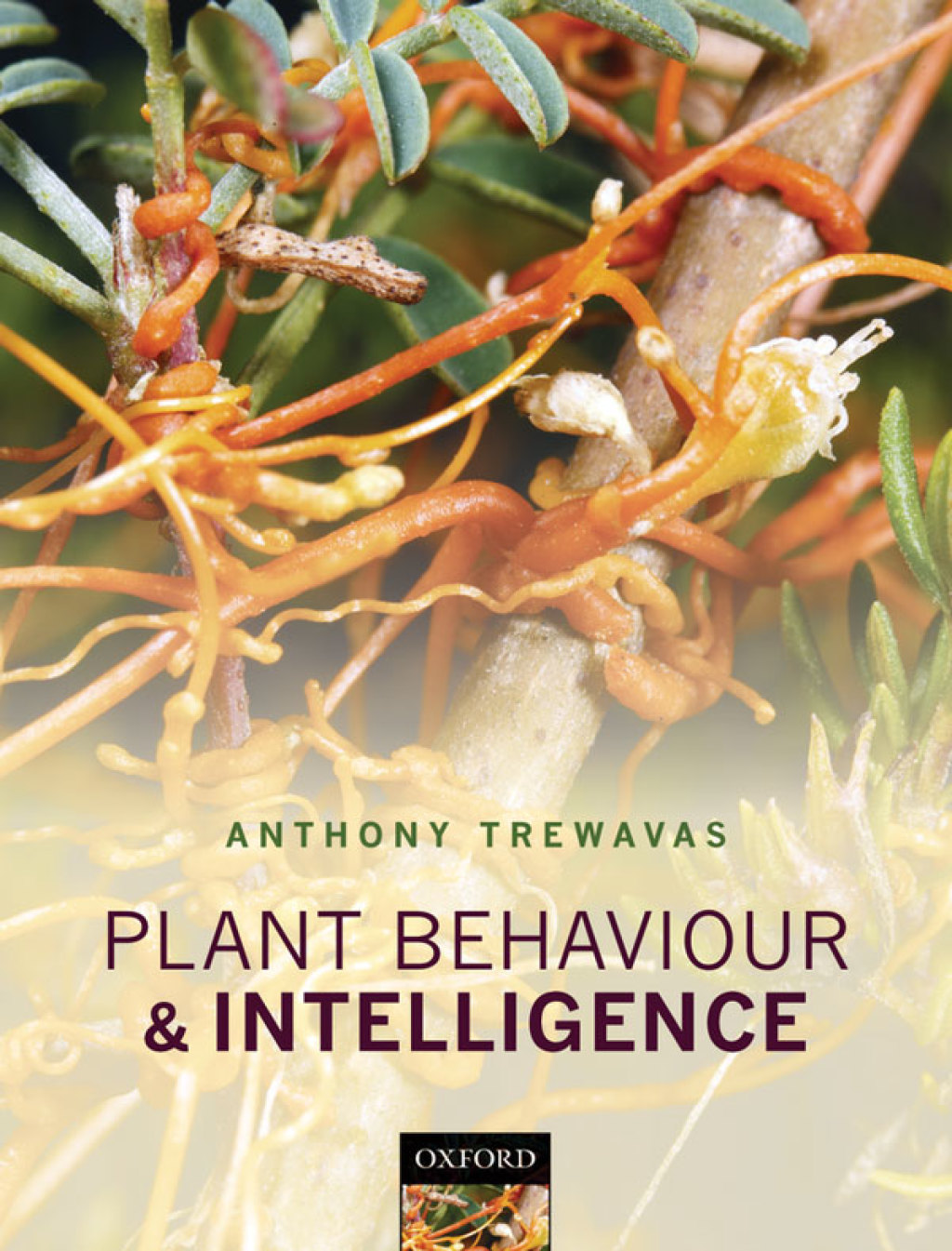 Plant Behaviour and Intelligence  â€“ PDF/EPUB Version Downloadable