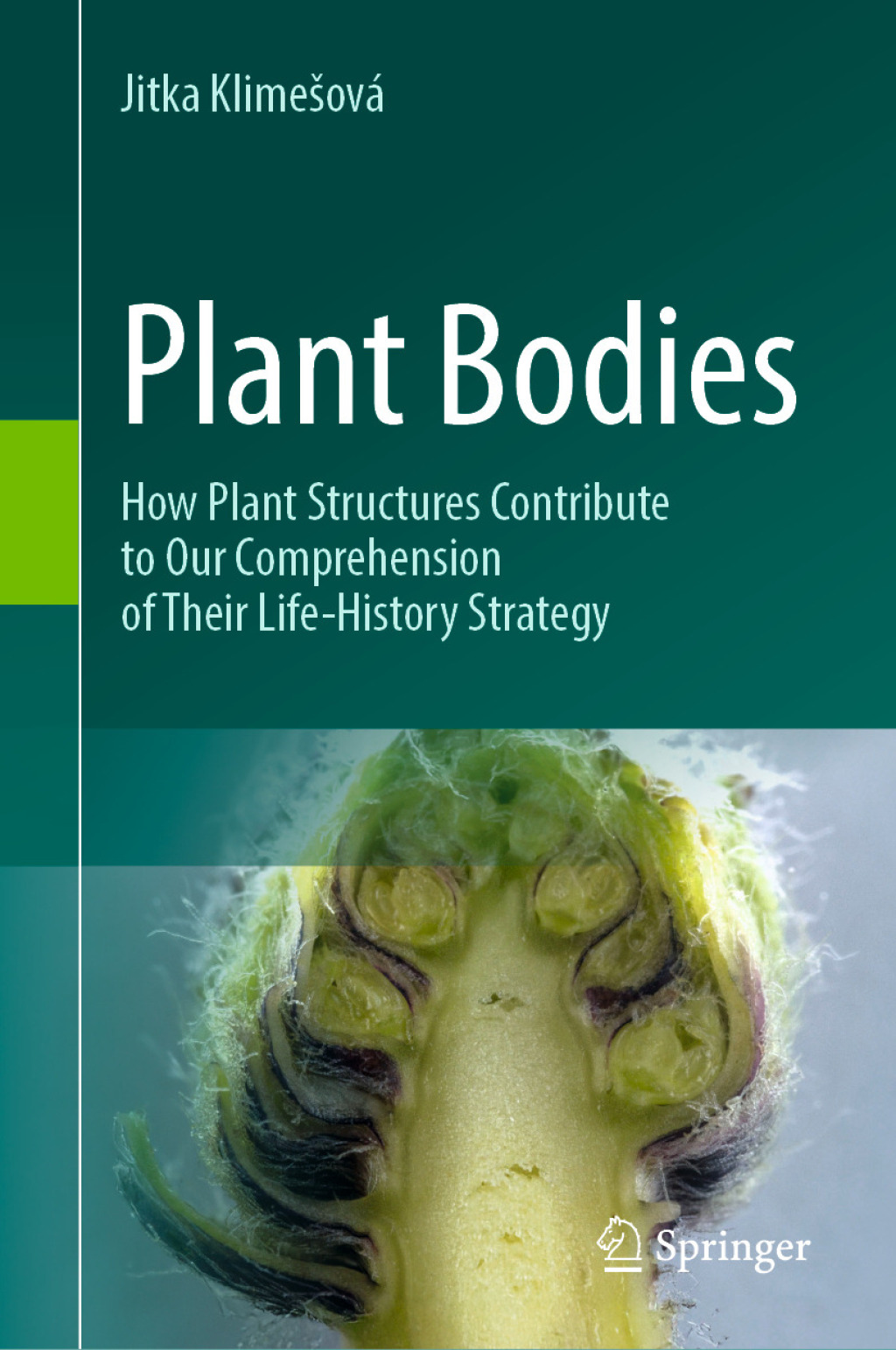 Plant Bodies How Plant Structures Contribute to Our Comprehension of Their Life-History Strategy  â€“ PDF/EPUB Version Downloadable