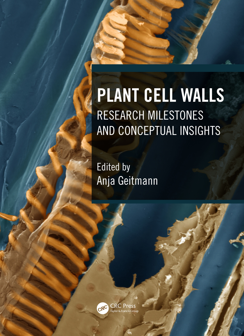 Plant Cell Walls Research Milestones and Conceptual Insights 1st Edition â€“ PDF/EPUB Version Downloadable