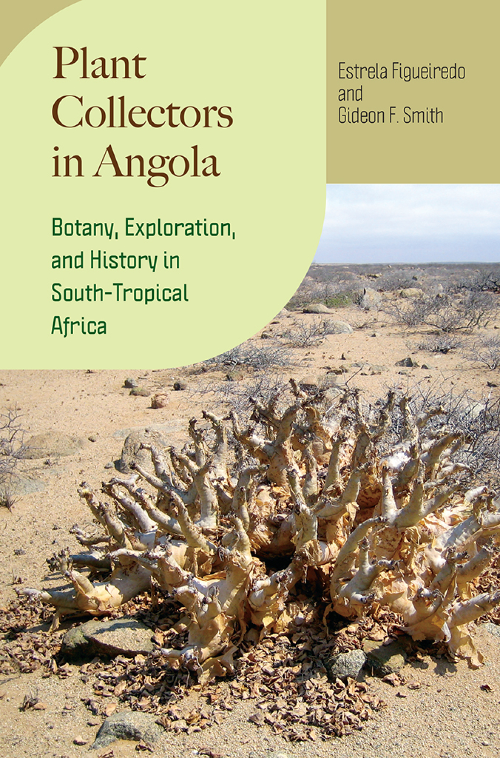 Plant Collectors in Angola Botany, Exploration, and History in South-Tropical Africa  â€“ PDF/EPUB Version Downloadable