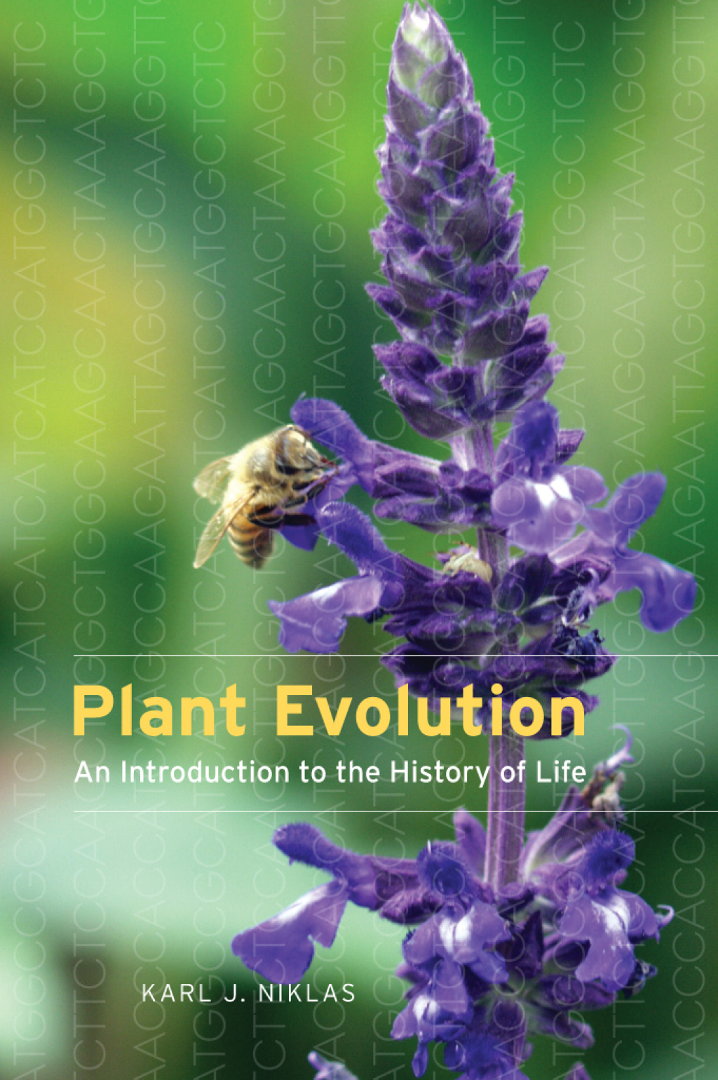 Plant Evolution An Introduction to the History of Life 1st Edition â€“ PDF/EPUB Version Downloadable