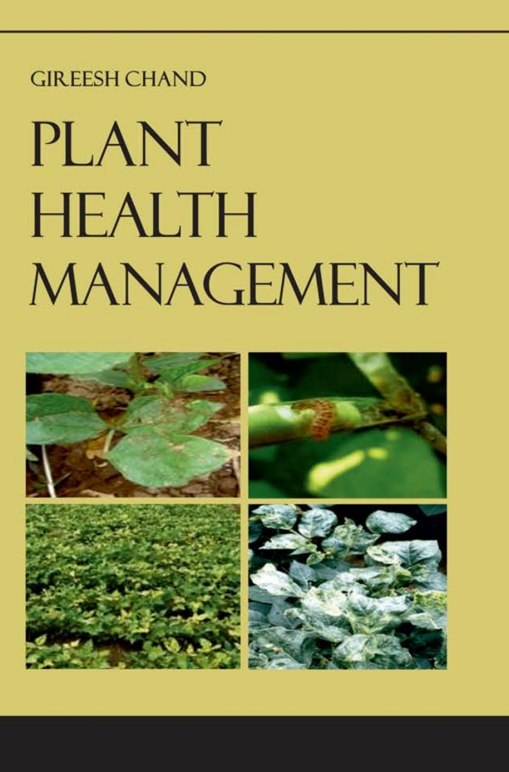 Plant Health Management 1st Edition â€“ PDF/EPUB Version Downloadable