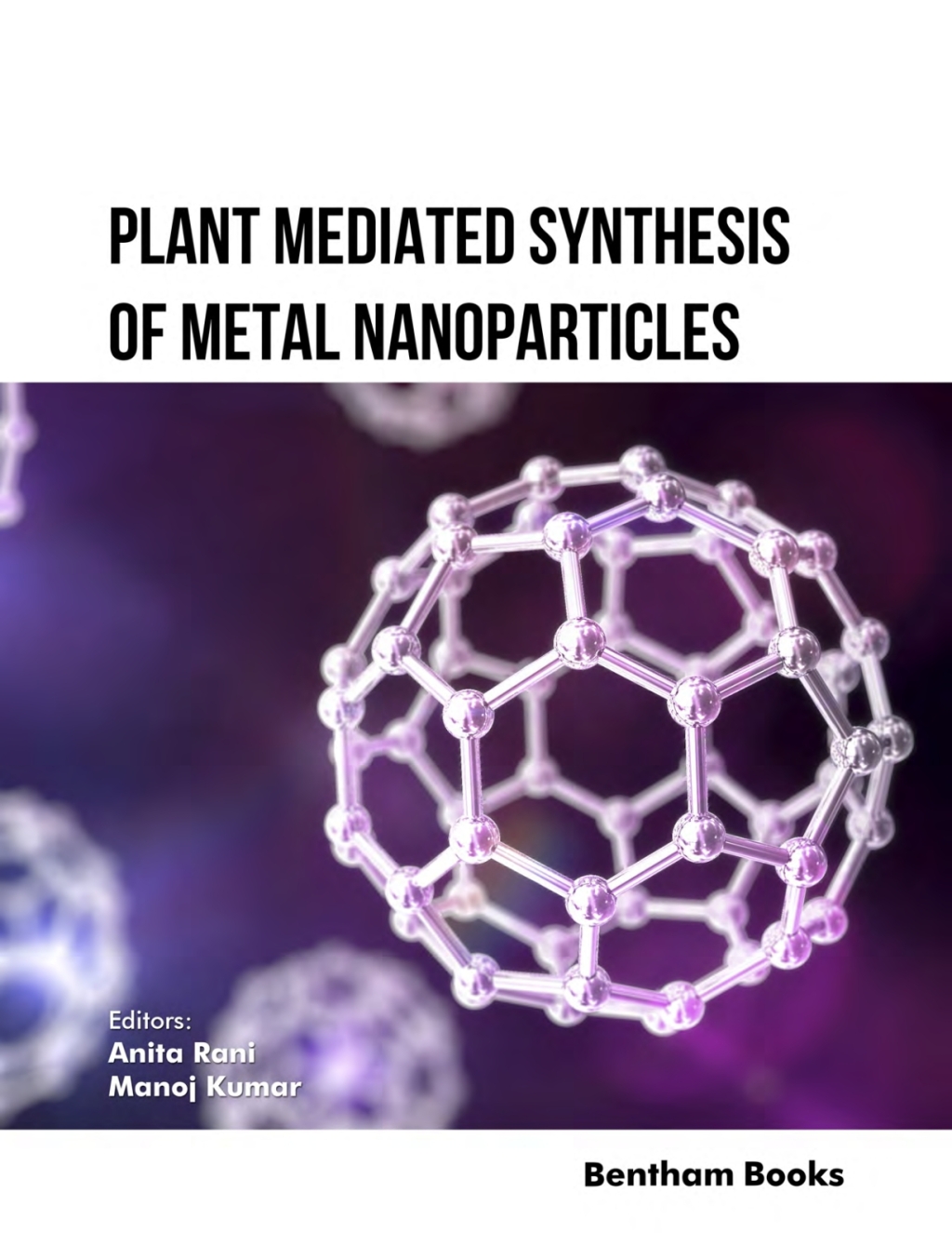 Plant Mediated Synthesis of Metal Nanoparticles 1st Edition â€“ PDF/EPUB Version Downloadable