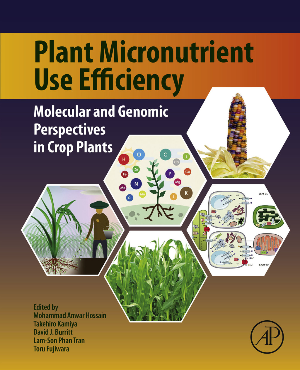 Plant Micronutrient Use Efficiency Molecular and Genomic Perspectives in Crop Plants  â€“ PDF/EPUB Version Downloadable