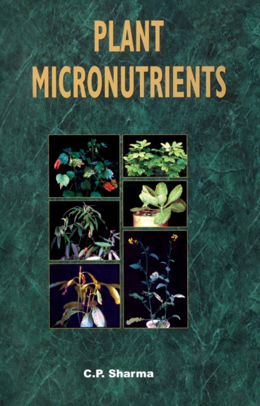 Plant Micronutrients 1st Edition â€“ PDF/EPUB Version Downloadable