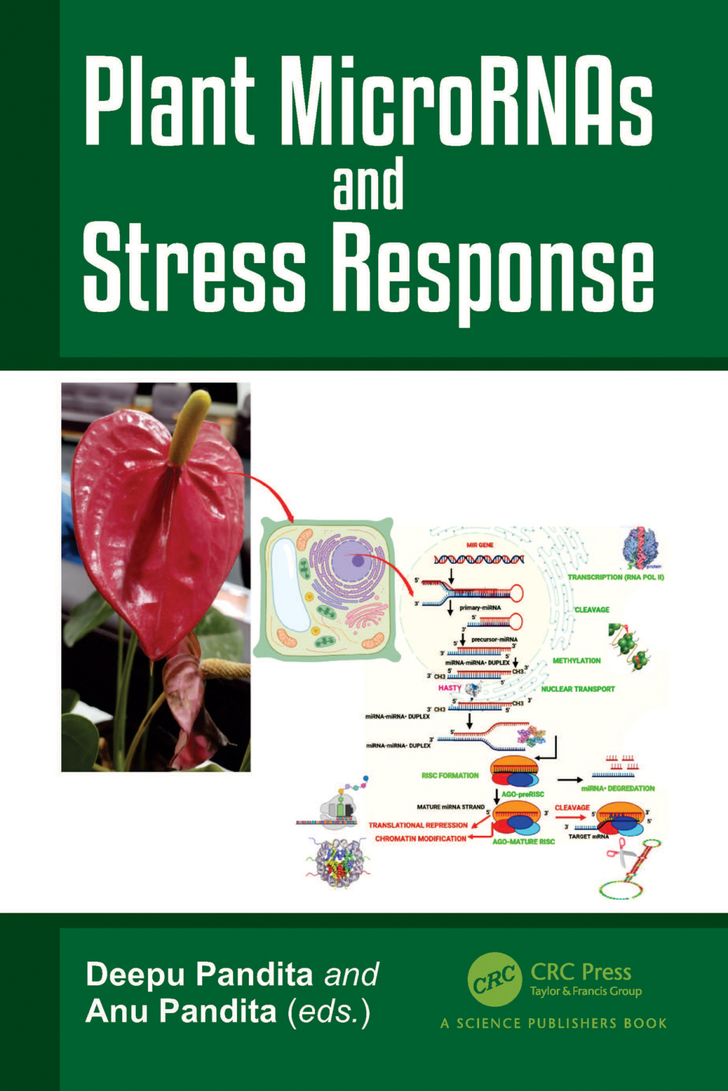 Plant MicroRNAs and Stress Response 1st Edition â€“ PDF/EPUB Version Downloadable