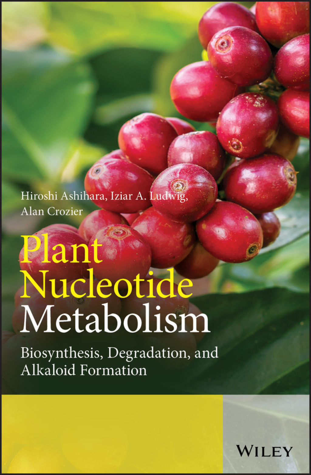 Plant Nucleotide Metabolism Biosynthesis, Degradation, and Alkaloid Formation 1st Edition â€“ PDF/EPUB Version Downloadable